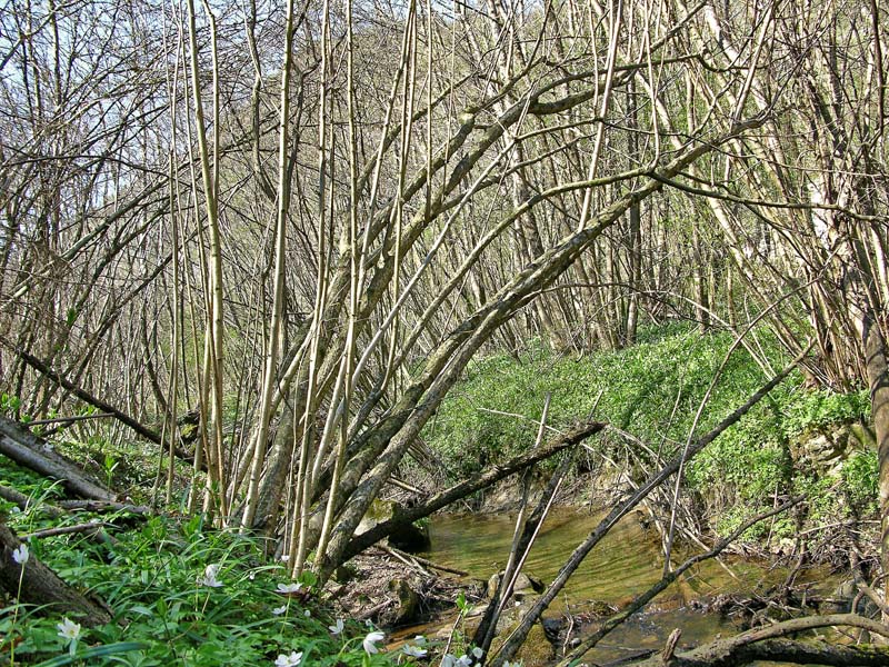 Ritrovamenti, mercoledi 10 aprile.